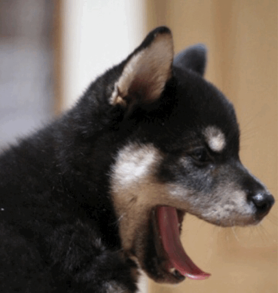 f0096666_21493533.gif