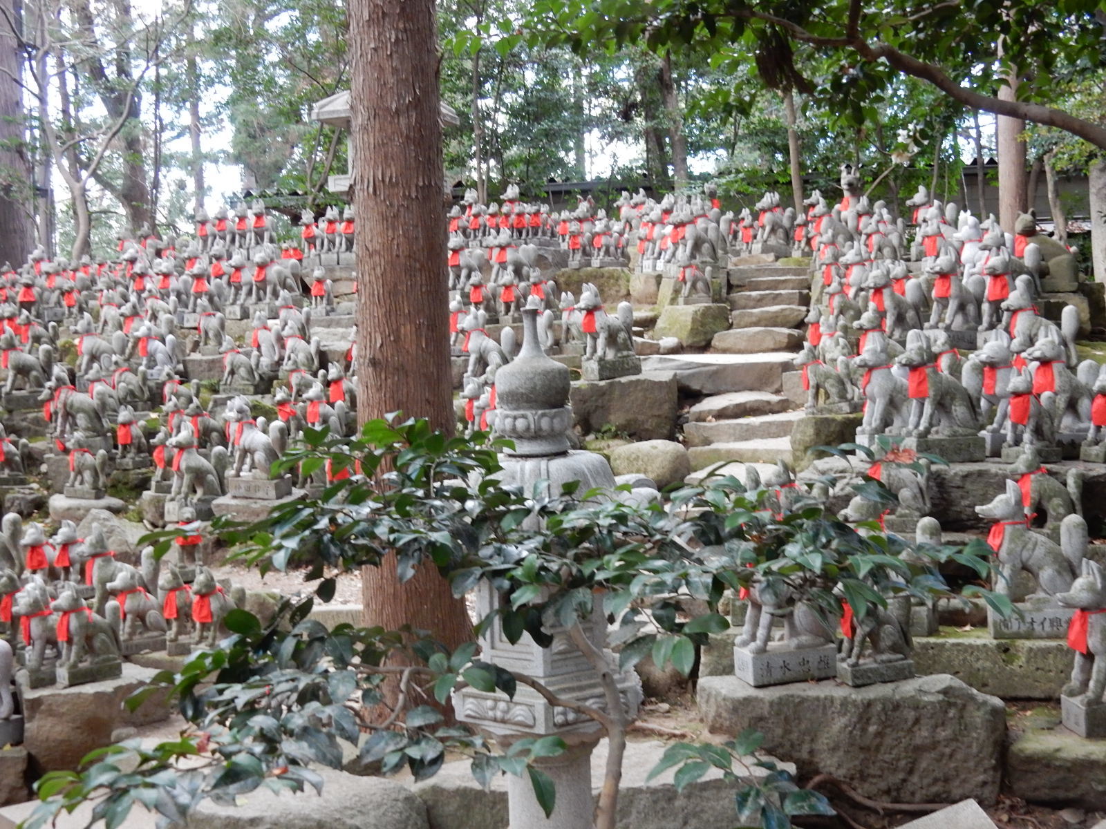 豊川稲荷と砥鹿神社奥宮(三河一宮）に初詣　その1　豊川稲荷はお寺なのになぜ稲荷で狐？_b0140276_00081374.jpg