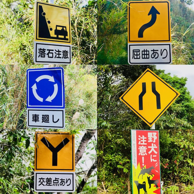 バックパッキング ６日目 道路標識クイズ18 山道には標識がいっぱい 体で表現 ねこんちゅ通信 ネコのわくわく自然教室