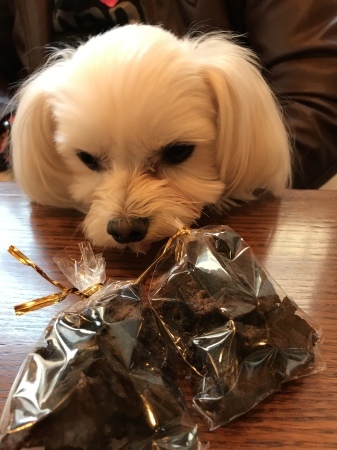 b0193480_20224895.jpeg