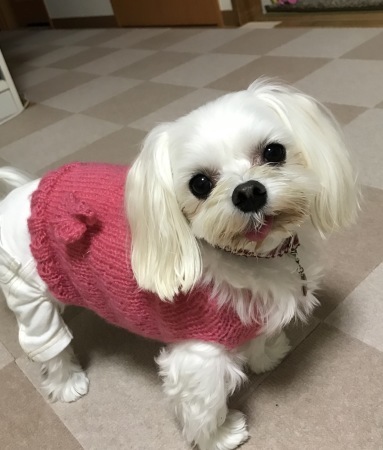 b0193480_20245090.jpeg