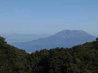 e0130185_2048547.jpg