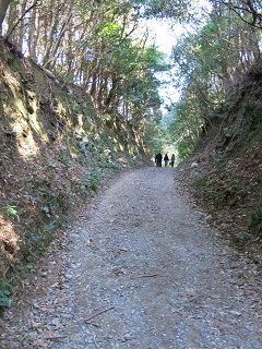e0130185_2052553.jpg