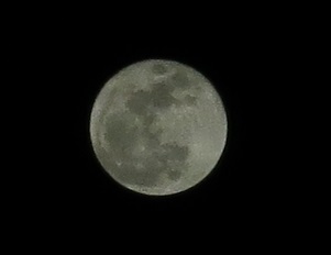 e0130185_20594267.jpg