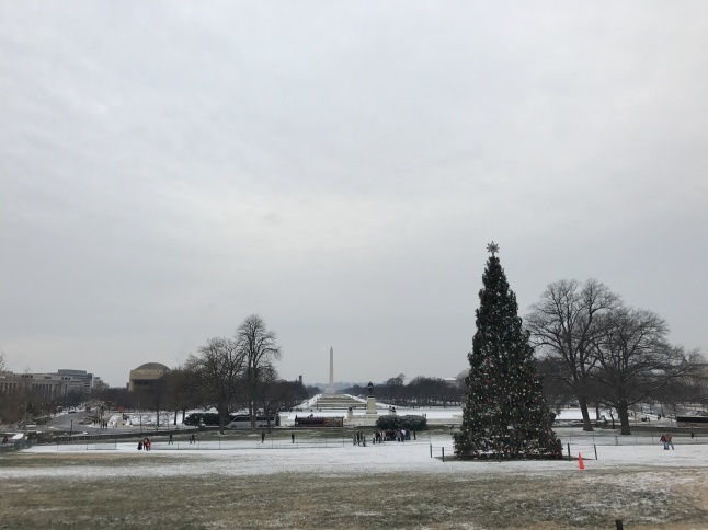 雪のアメリカ合衆国議会議事堂_c0348596_21500306.jpg