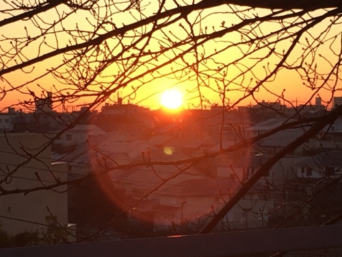 2018_f0346597_15514515.jpeg