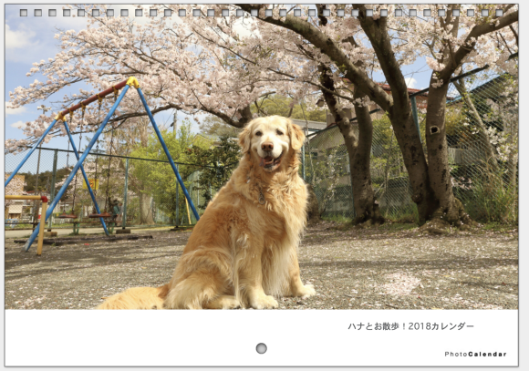 b0275998_18302404.png