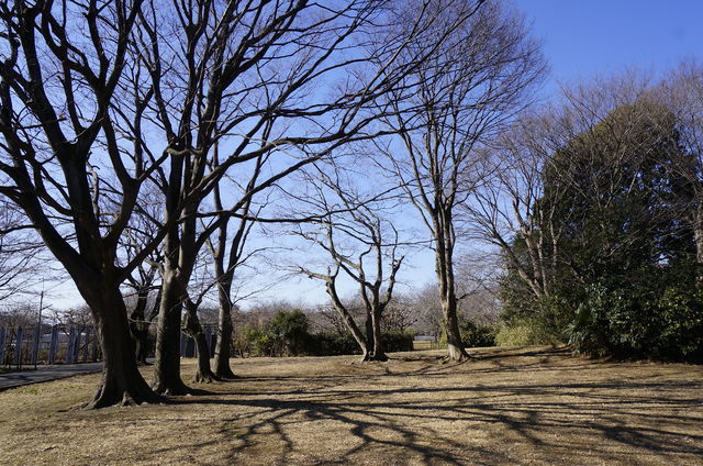 a0344999_06273319.jpg