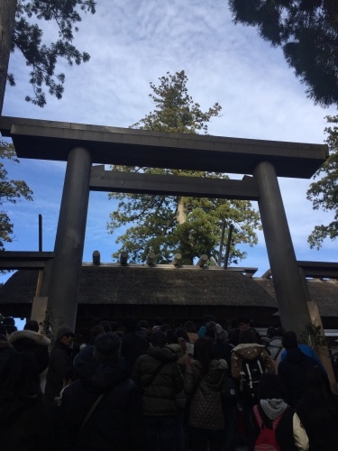 年末詣・初詣_a0267202_13224780.jpg