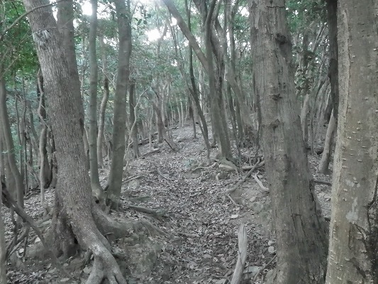 f0187402_17095621.jpg