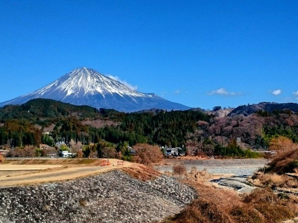 駿河 新春ご挨拶釣行_f0266202_20315549.jpg