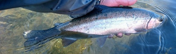f0266202_20374927.jpg