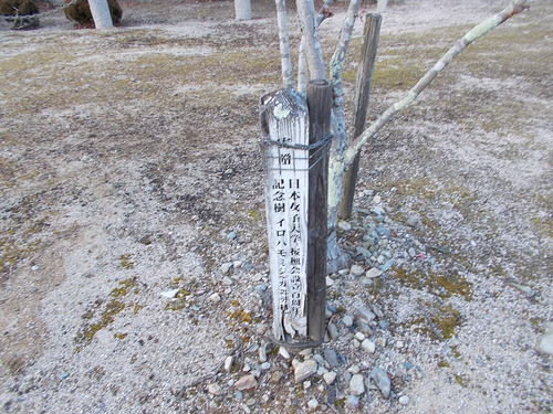 山口・この冬一番の寒気大雪のおそれ_c0192503_1933346.jpg