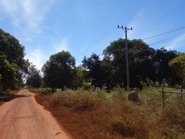 d0360509_1944595.jpg