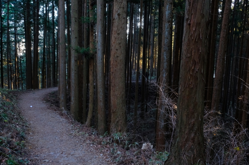 初日の出 御岳山_e0000910_22445481.jpg