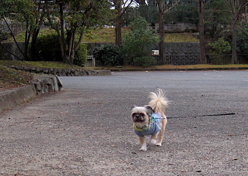 a0164011_00222061.jpg