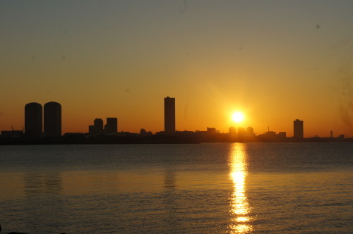 f0215714_16445328.jpg