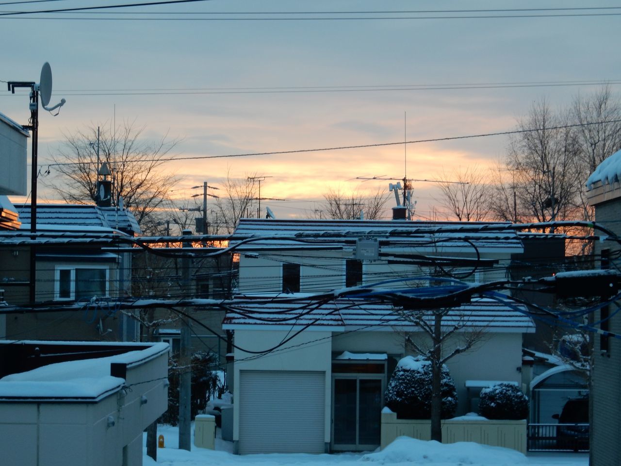 今年初の真冬日_c0025115_22374606.jpg