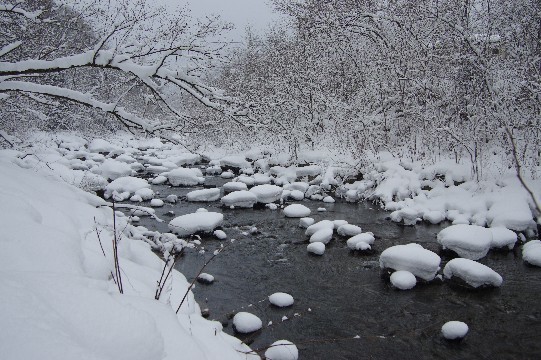 山里スノーハイキング_c0152317_19250841.jpg