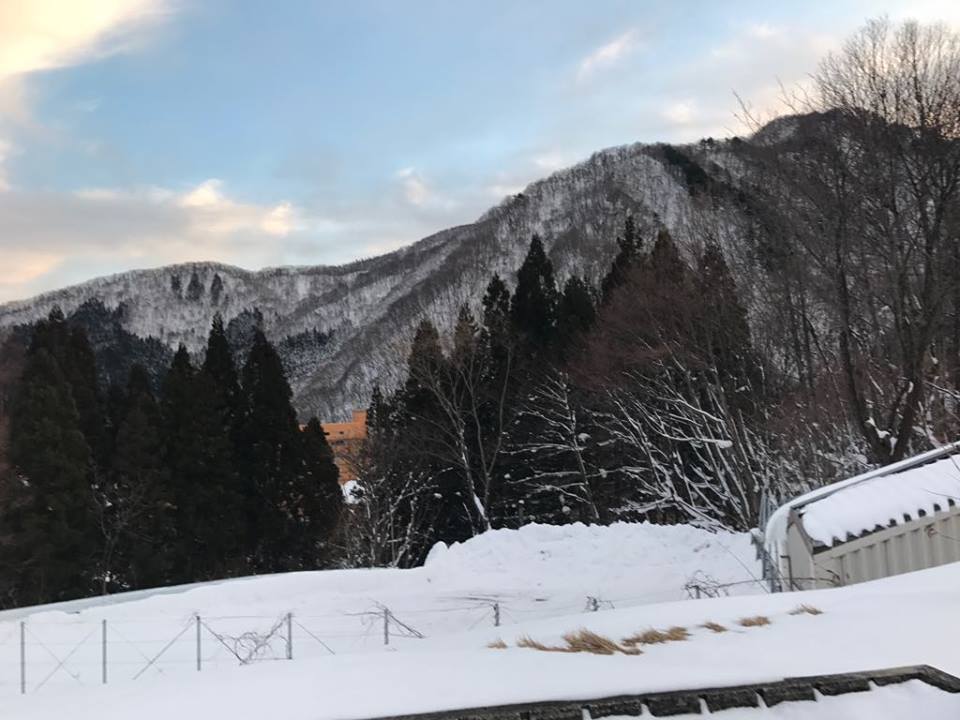 あけましておめでとうございます_e0025817_22543975.jpg