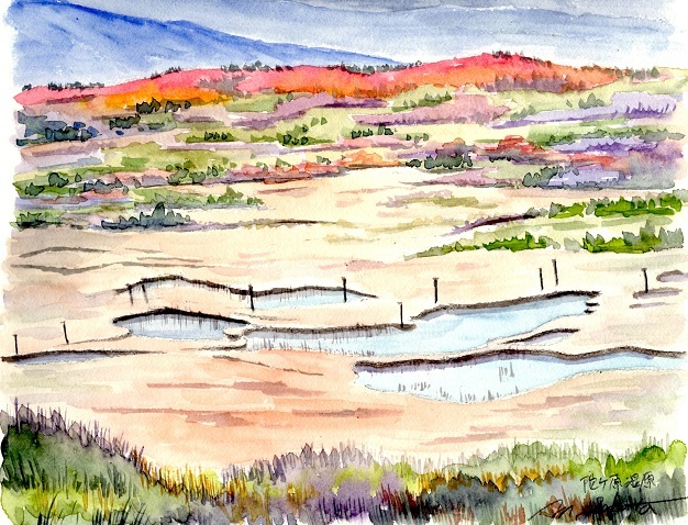 月山弥陀ヶ原湿原 絵日記 月山弥陀ヶ原湿原 絵日記