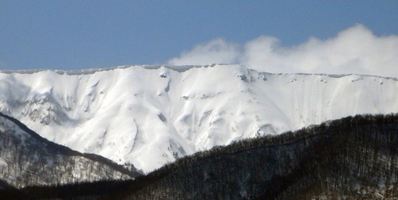 a0304423_00423029.jpg