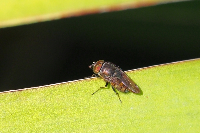 c0369423_21024469.jpg
