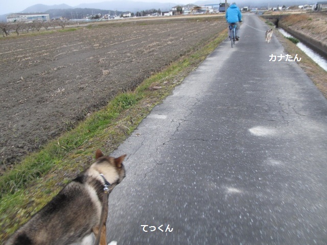 f0143123_09253129.jpg