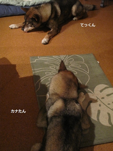 f0143123_09272070.jpg