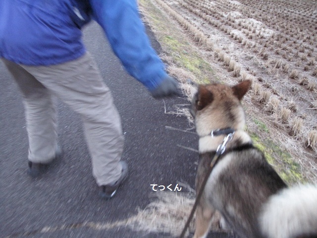 f0143123_09300095.jpg