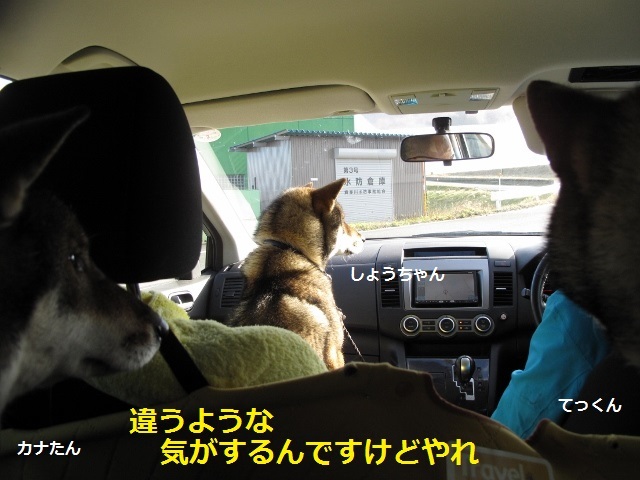 f0143123_20282229.jpg
