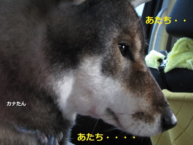 f0143123_20282714.jpg