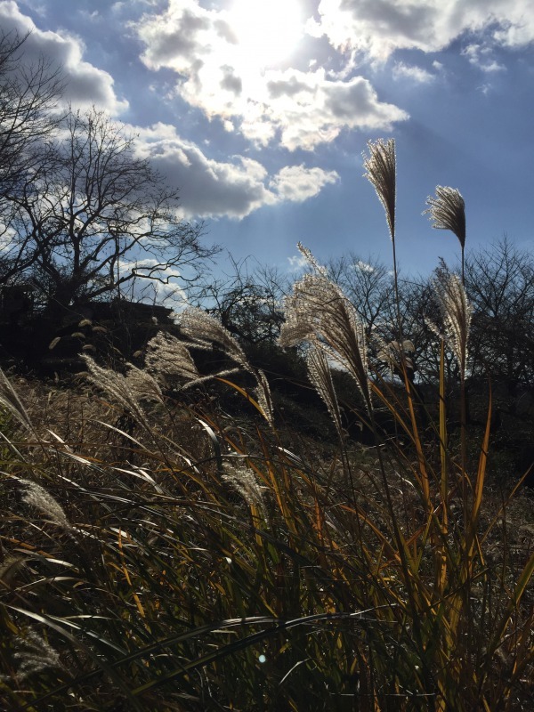 c0113733_02091140.jpg