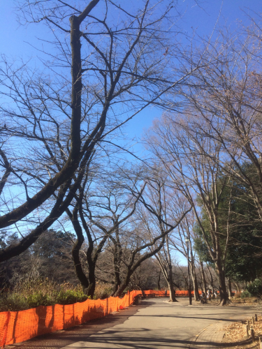 池の水がキレイになったお陰で夏の蚊の発生が減ったそうです。_f0327534_13081735.jpg