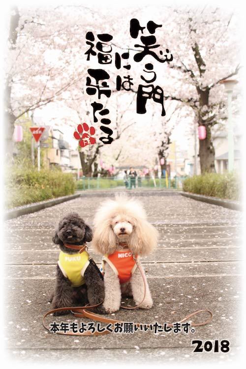 あけましておめでとうございます。_f0288136_18391597.jpg