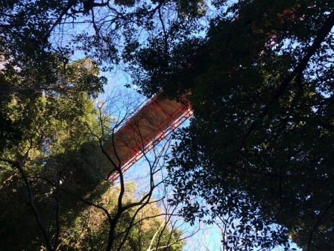 最近のぼく_e0130546_18422737.jpg