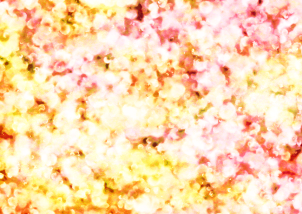 b0232447_01161904.png