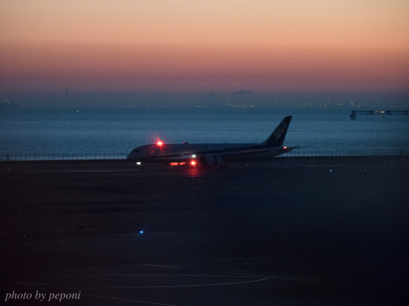 2018年の夜明け_a0333253_21240900.jpg