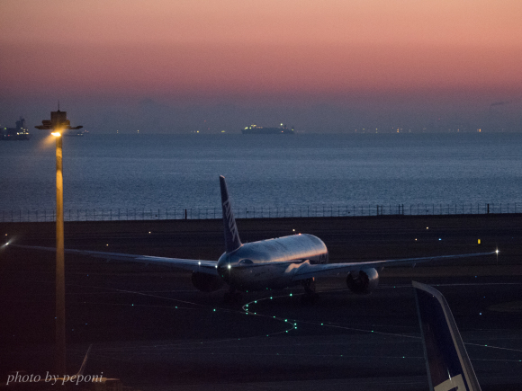 2018年の夜明け_a0333253_21243240.jpg