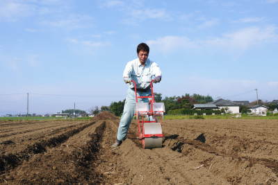 有機栽培の水田ごぼう　現在の発芽の様子と水田での栽培ならではのごぼうなんです！（後編）_a0254656_17042770.jpg