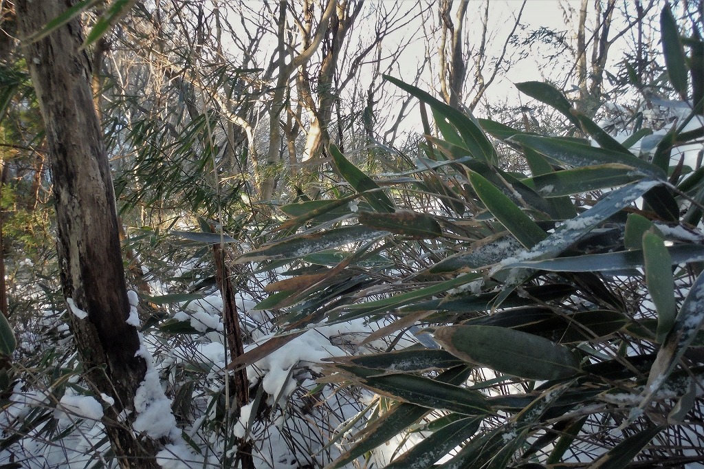c0294658_17040900.jpg