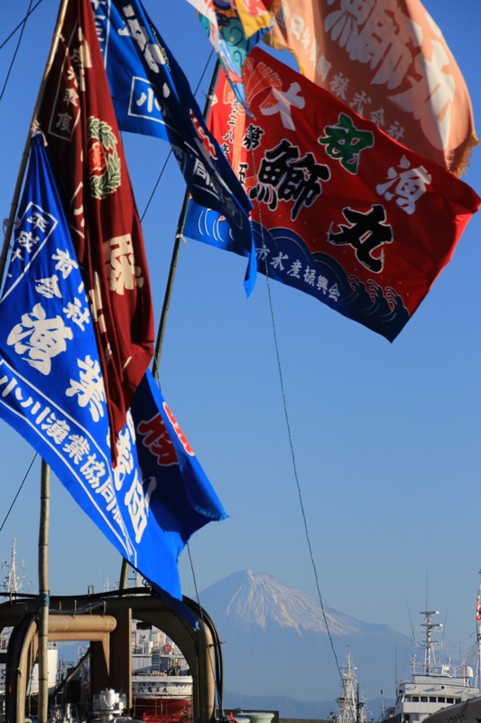 a0167759_1633306.jpg