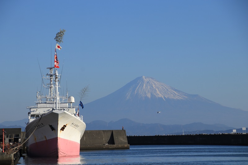 a0167759_16424249.jpg