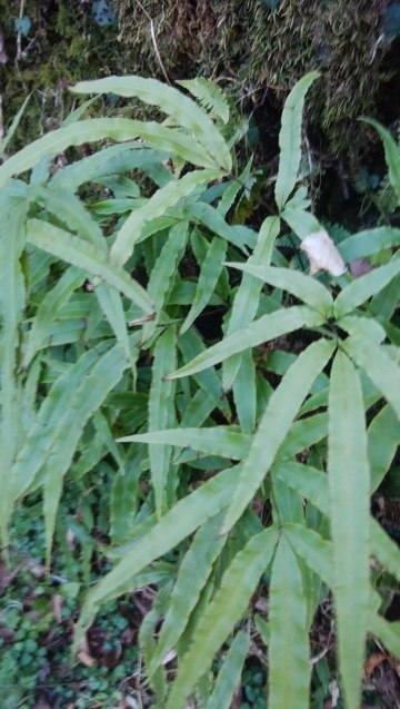 b0105259_23473259.jpg