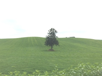 c0051760_23235175.jpg