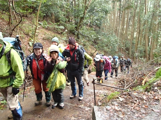 恒例愛宕山初詣登山_b0044663_14432234.jpg