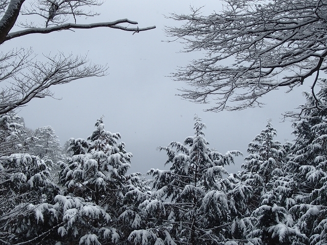 恒例愛宕山初詣登山_b0044663_14480098.jpg