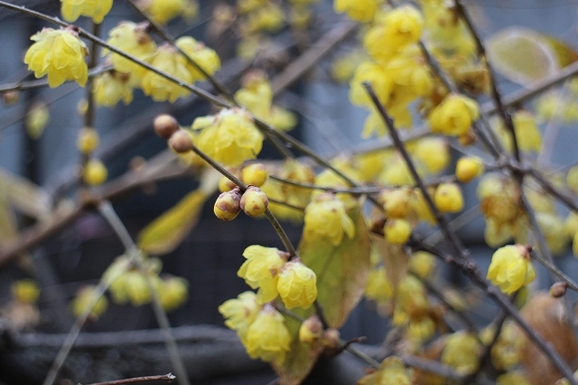 b0044663_23591542.jpg
