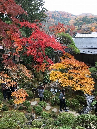 b0145863_20434176.jpg