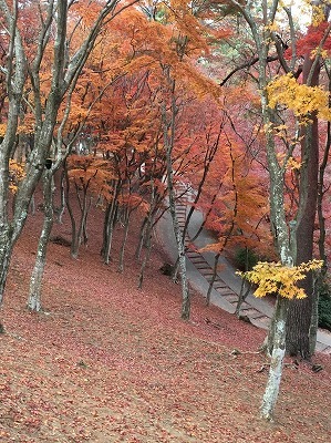 b0145863_20445155.jpg